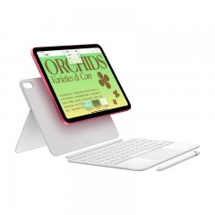 Apple iPad（第 10 代）10.9英寸平板电脑